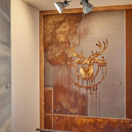 Sunshine Spirit Of Deer * جارمش بارتنكيرشن